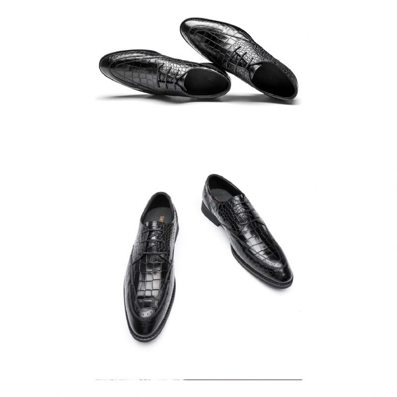 Formelle Herrenschuhe Luxuriöse Crocgloss-klassiker-brogue-kleiderschuhe - Schwarz