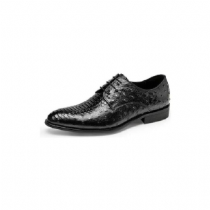 Formelle Herrenschuhe Luxuriöse Croctex Derbys-schuhe