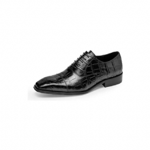 Formelle Herrenschuhe Luxuriöse Croctex Oxford-schuhe