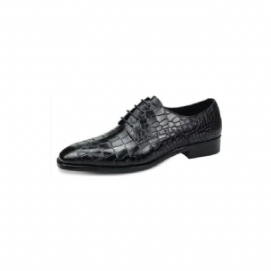 Formelle Herrenschuhe Luxuriöse Elegante Brogue-schuhe Aus Krokodilleder