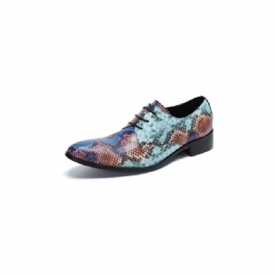 Formelle Herrenschuhe Luxuriöse Elegante Derby-schuhe Mit Exotischem Muster