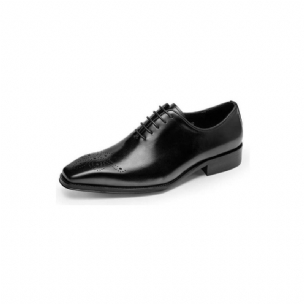 Formelle Herrenschuhe Luxuriöse Elegante Oxford-schuhe Aus Rindsleder