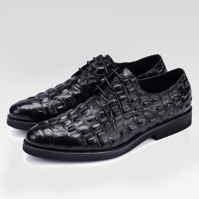 Formelle Herrenschuhe Luxuriöse Oxford-brogues Aus Geprägtem Leder - Schwarz