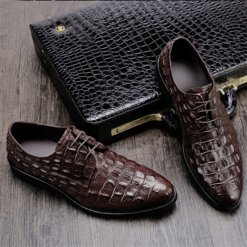 Formelle Herrenschuhe Luxuriöse Oxford-brogues Aus Geprägtem Leder - Kaffee