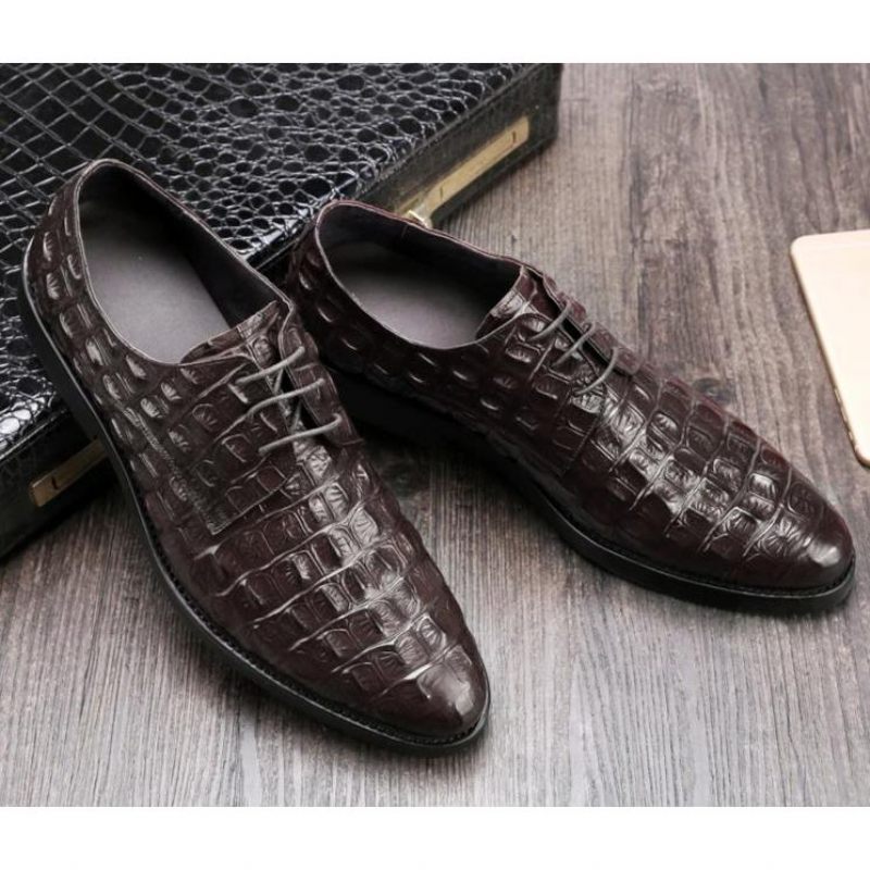 Formelle Herrenschuhe Luxuriöse Oxford-brogues Aus Geprägtem Leder - Kaffee