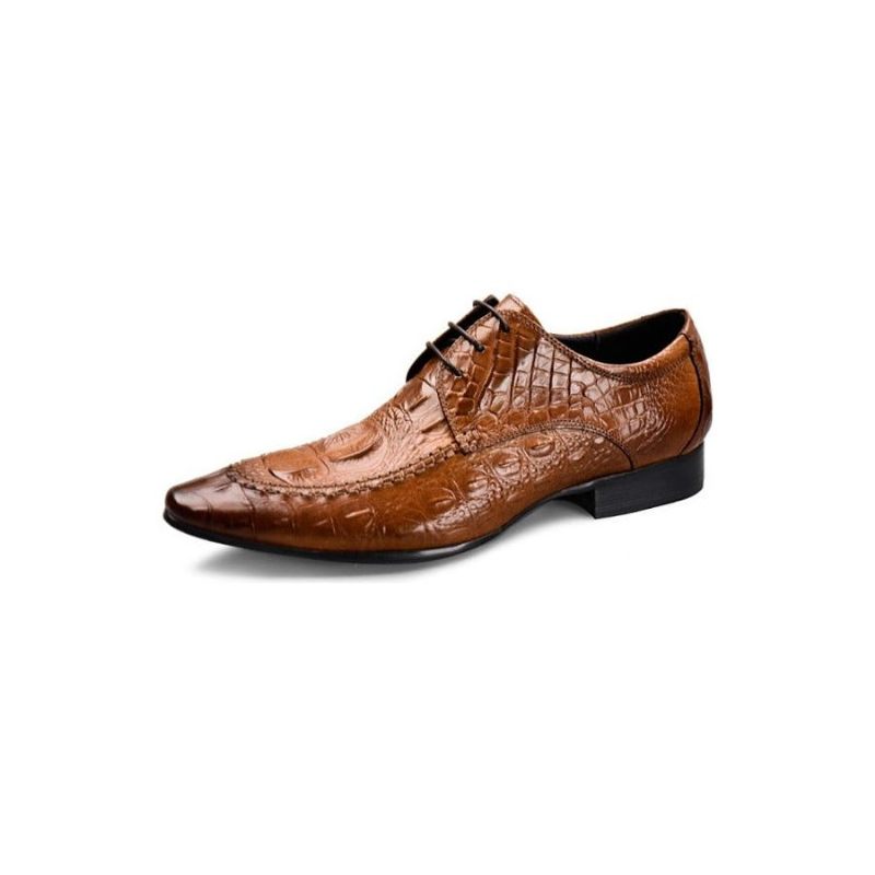 Formelle Herrenschuhe Luxuriöse Oxford-schuhe Aus Krokodilleder - Braun