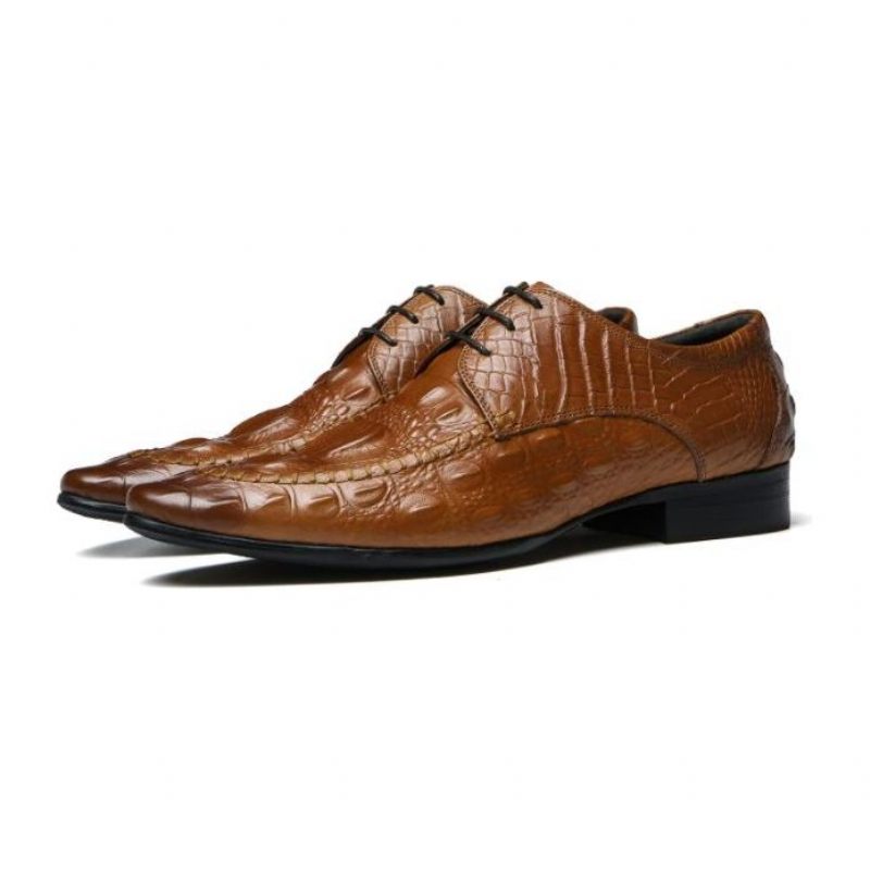 Formelle Herrenschuhe Luxuriöse Oxford-schuhe Aus Krokodilleder - Braun