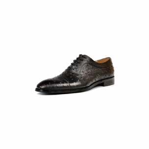 Formelle Herrenschuhe Mit Exotischem Muster Elegante Oxford-schuhe