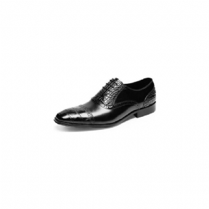 Formelle Herrenschuhe Opulente Croctex Oxford-schuhe