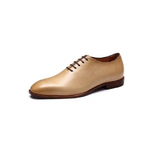 Formelle Herrenschuhe Opulente Exotische Oxford-schuhe Mit Runder Zehenpartie