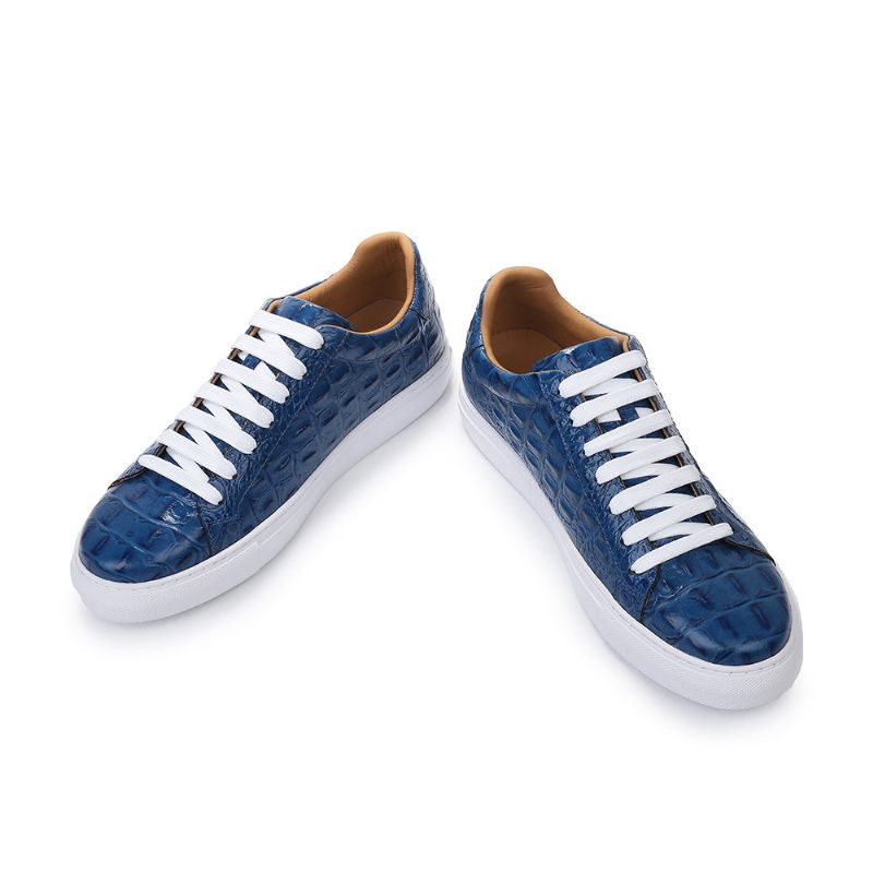 Herren-freizeitschuhe Exotische Schnürschuhe - Blau