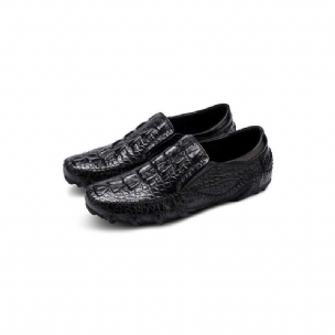 Herren-freizeitschuhe Luxuriöse Alligator-textur Slip-on-oxford-schuhe