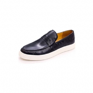 Herren-freizeitschuhe Schicke Slip-on-schuhe Aus Exotischem Leder