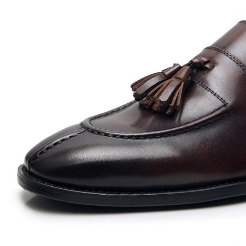 Herren-loafer Aus Exotischem Leder Im Oxford-stil - Kaffee