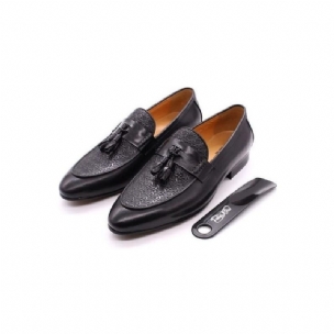 Herren-loafer Luxuriöse Exotische Slip-on-loafer