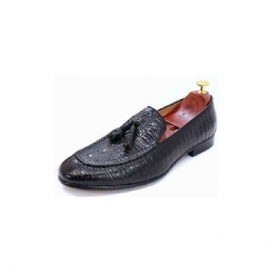 Herren-loafer Luxuriöse Loafer Aus Krokodilleder Mit Quasten