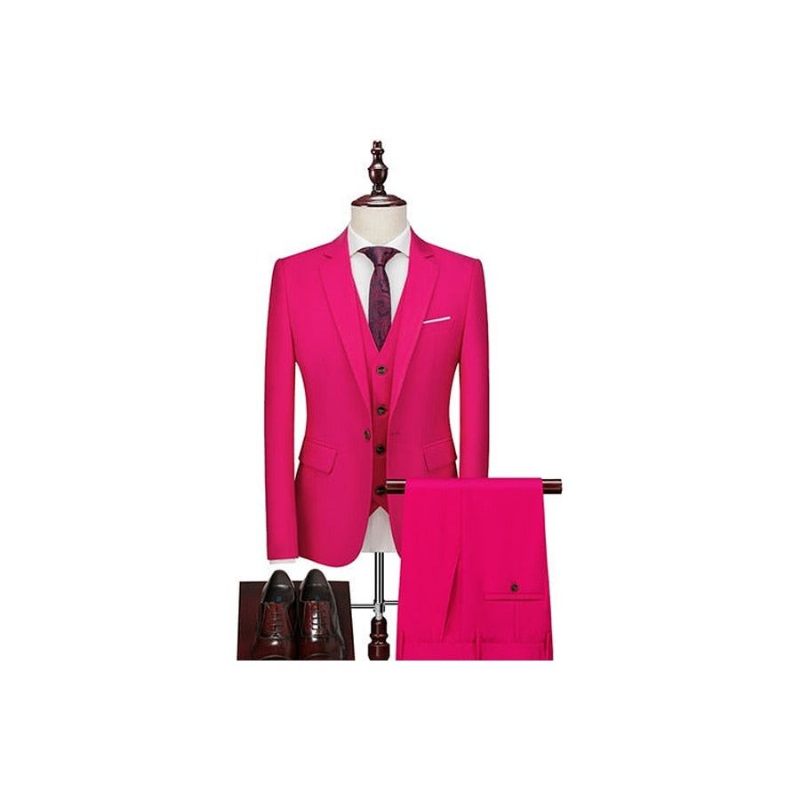 Herrenanzüge Acetat-blazer Hosenanzug-set - Rosa