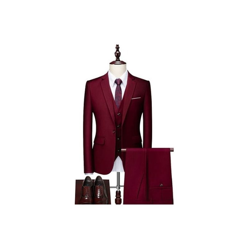 Herrenanzüge Acetat-blazer Hosenanzug-set - Burgund